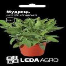 Семена LedaAgro шалфей лекарственный Мудрец 0,4 г (4820119792766)