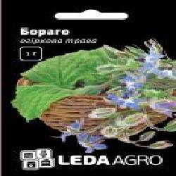 Семена LedaAgro огуречная трава Бораго 1 г (4820119792506)