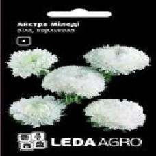 Семена LedaAgro астра карликовая Миледи белая 0,2 г (4820119793336)