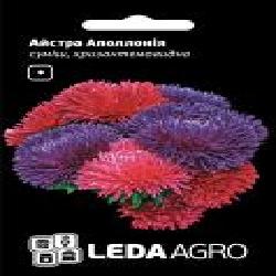 Семена LedaAgro астра хризантемовидная Аполлония смесь 0,2 г (4820119793411)