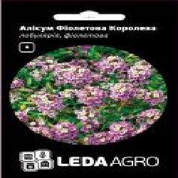 Семена LedaAgro алиссум Фиолетовая Королева 0,2 г (4820119796290)