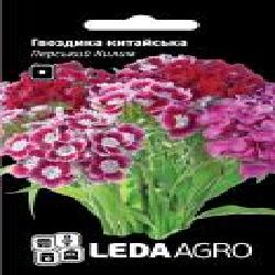 Семена LedaAgro гвоздика китайская Персидский Ковер смесь 0,1 г (4820119793503)