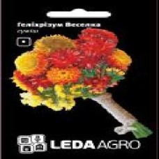 Семена LedaAgro гелихризум Веселка смесь 0,2 г (4820119793510)