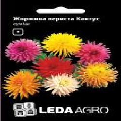 Семена LedaAgro георгина перистая Кактус смесь 0,2 г (4820119793541)