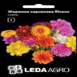 Семена LedaAgro георгина карликовая Пикколо смесь 0,2 г (4820119793534)