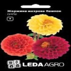 Семена LedaAgro георгина махровая Помпон смесь 0,2 г (4820119793558)