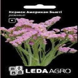 Семена LedaAgro статица Американ Бьюти розовый 0,15 г (4820119793602)