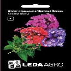 Семена LedaAgro флокс друммонда Звездный Огонек 0,2 г (4820119795583)