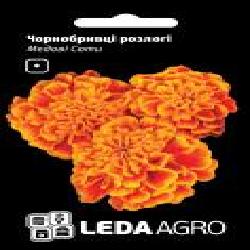 Семена LedaAgro бархатцы раскидистые Медовые Соты 0,2 г (4820119794883)