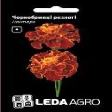 Семена LedaAgro бархатцы раскидистые Пантера 0,25 г (4820119794890)