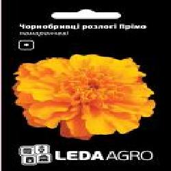 Семена LedaAgro бархатцы раскидистые Примо оранжевые 0,2 г (4820119795606)