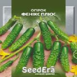 Семена SeedEra огурец Феникс плюс 10 г (4823114400186)