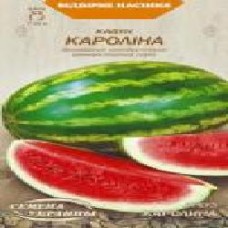 Семена Семена Украины арбуз КАРОЛИНА 1 г (4823099803491)