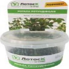 Растение аквариумное Лотос К Ротала ротундифолия (Rotala rotundifolia in vitro)