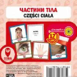 Книга «Частини тіла. Набір карток' 9786177686117