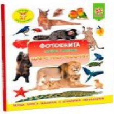 Книга «Фотокнига Царство тварин. Серія шукайчик. Тв.обкладинка' 978-617-634-172-7