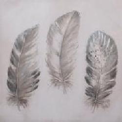 Картина Feather 60x60 см GF