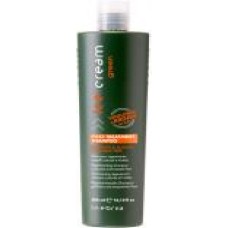 Шампунь INEBRYA Green Post-Treatment Shampoo для окрашенных волос 300 мл