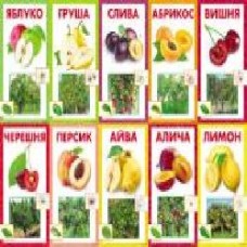 Набор учебный Фрукты