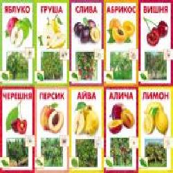 Набор учебный Фрукты