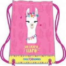 Сумка для обуви Lama CF85767 Cool For School