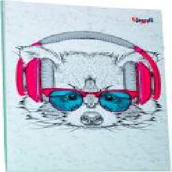 Блокнот Music note raccoon A5 Profiplan