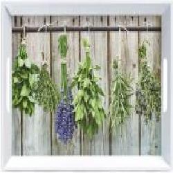 Поднос с ручками Herbs 50x35x5 см 26635 Zeller