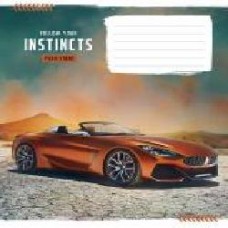 Тетрадь школьная Instincts B5 12 листов в линию Школярик