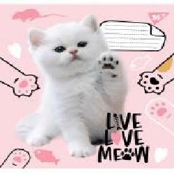 Тетрадь школьная Live love meow А5/12 в линию YES