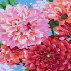 Картина по номерам Цветы георгина 35x45 см Rosa Start