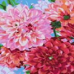 Картина по номерам Цветы георгина 35x45 см Rosa Start