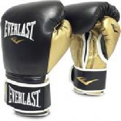 Перчатки тренировочные Everlast POWERLOCK_PU_GLOVES 16oz P0000023 черно-золотистый