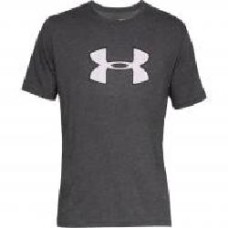 Футболка Under Armour UA BIG LOGO SS 1329583-019 р.S серый