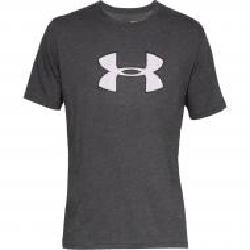 Футболка Under Armour UA BIG LOGO SS 1329583-019 р.S серый