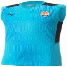 Футболка Puma FCSD Training Jersey SL 76410804 р.2XL голубой