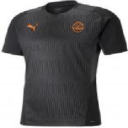 Футболка Puma FCSD Pro Training Jersey 76411002 р.M черный